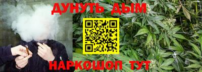 дурь Шелехов