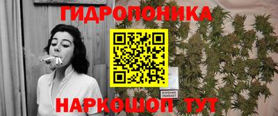дурь Шелехов