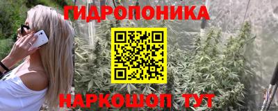 дурь Шелехов